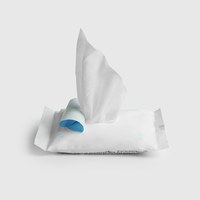 貓咪狗狗專用濕紙巾 – 10抽入